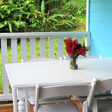Chez Ophelia Cottage Apartments Roseau Exterior foto