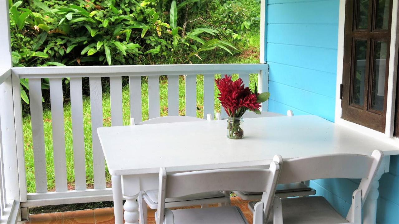 Chez Ophelia Cottage Apartments Roseau Exterior foto